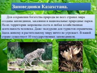 Заповедники Казахстана. Для сохранения богатства природы во всех странах мира со