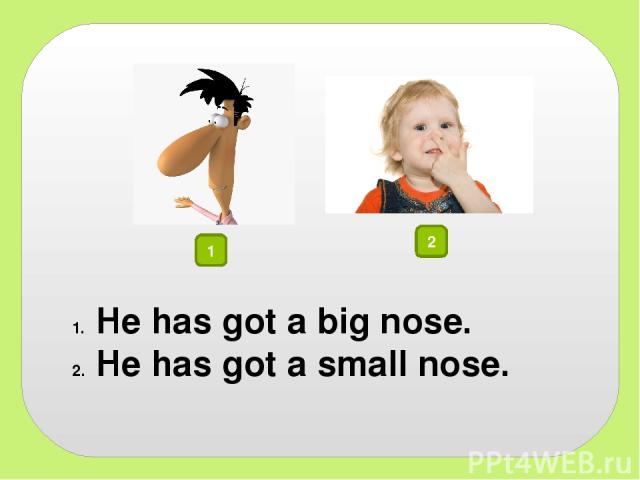 1 2 He has got a big nose. He has got a small nose.