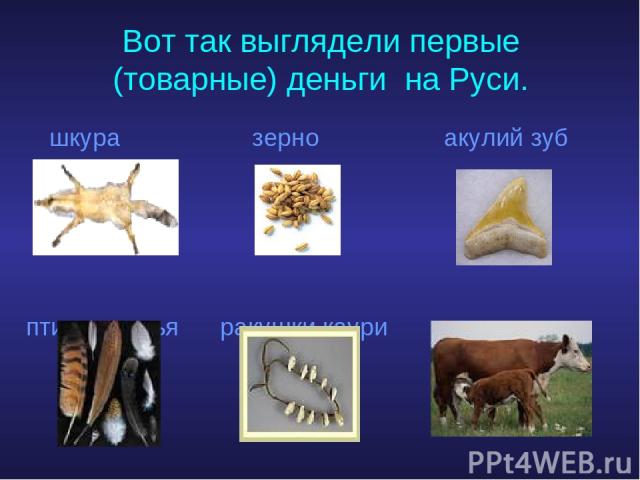 Вот так выглядели первые (товарные) деньги на Руси. шкура зерно акулий зуб птичьи перья ракушки каури скот