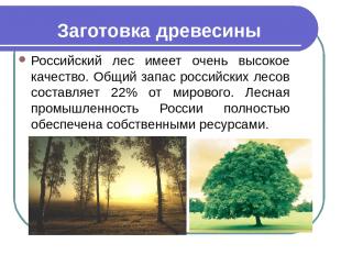 Заготовка древесины Российский лес имеет очень высокое качество. Общий запас рос