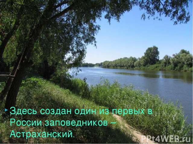 Здесь создан один из первых в России заповедников – Астраханский.