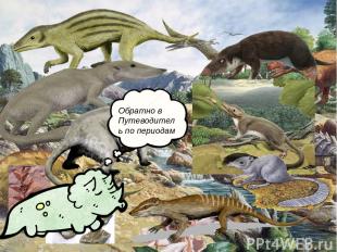 Ихтиозавры Платиптеригий Темнодонтозавр Цимбоспондил Шонизавр