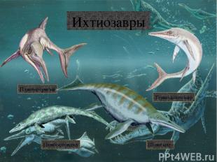 Мозазавры Горониозавр Мозазавр Тилозавр Прогнатодон