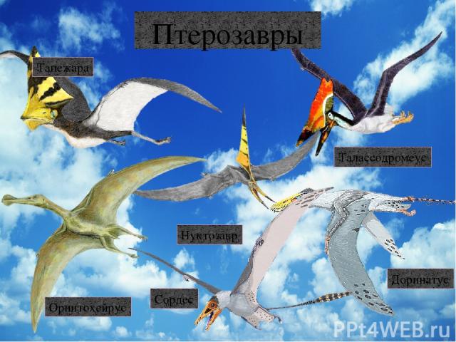 Динозавры Алиорами Гигантозавр Криптопс Мазиаказавр Тираннозавр Альбертозавр