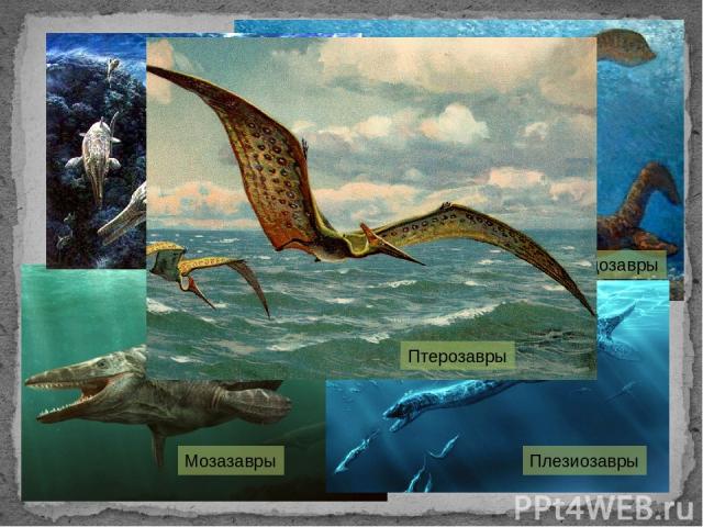 Плезиозавр Мозазавры Лепидозавры Плезиозавры Птерозавры