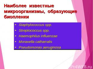 Staphylococcus spp. Streptococcus spp. Haemophilus influenzae Мoraxella catharra