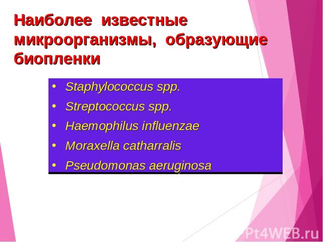 Staphylococcus spp. Streptococcus spp. Haemophilus influenzae Мoraxella catharralis Pseudomonas aeruginosa Наиболее известные микроорганизмы, образующие биопленки