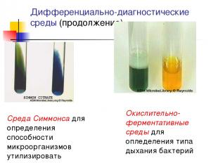 Дифференциально-диагностические среды (продолжение) Окислительно-ферментативные