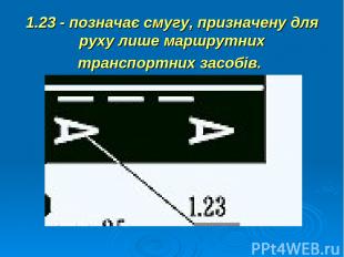 1.23 - позначає смугу, призначену для руху лише маршрутних транспортних засобів.