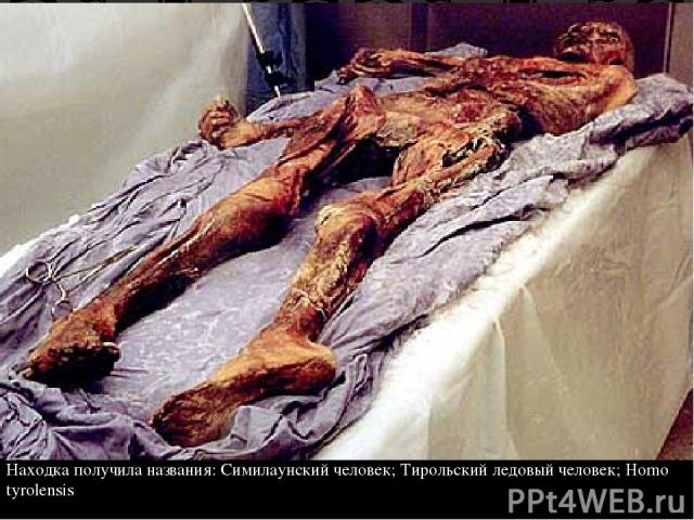 Находка получила названия: Симилаунский человек; Тирольский ледовый человек; Homo tyrolensis
