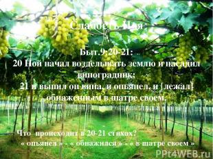 Слабость Ноя Быт.9:20-21: 20 Ной начал возделывать землю и насадил виноградник;