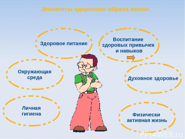 Воспитание здоровых привычек и навыков Окружающая среда Здоровое питание Физически активная жизнь Личная гигиена Духовное здоровье Элементы здорового образа жизни