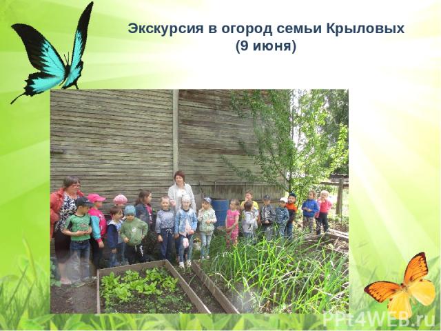 Экскурсия в огород семьи Крыловых (9 июня)