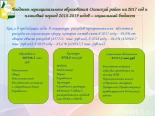 Бюджет муниципального образования Осинский район на 2017 год и плановый период 2
