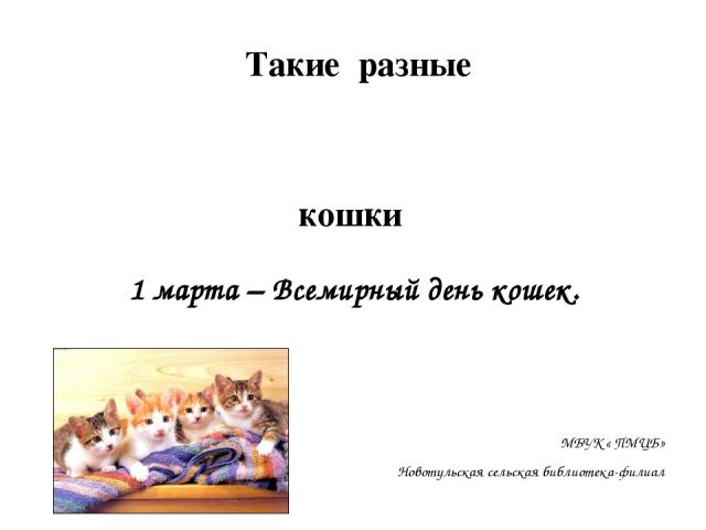 1 марта – Всемирный день кошек. МБУК « ПМЦБ» Новотульская сельская библиотека-филиал Такие разные кошки