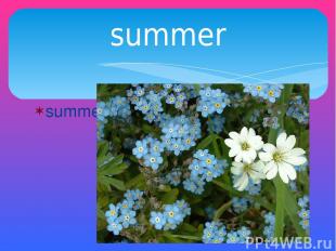 summer summer