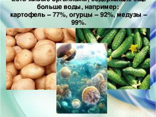 Есть живые организмы, содержащие ещё больше воды, например: картофель – 77%, огу