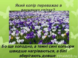 Який колір переважає в весняних квітах? Бо ще холодно, а темні сині кольори швид