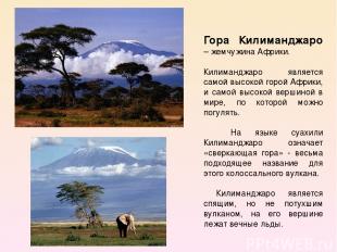 Гора Килиманджаро – жемчужина Африки. Килиманджаро является самой высокой горой