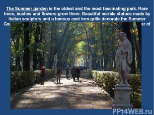 The Summer garden is the oldest and the most fascinating park. Rare trees, bushe