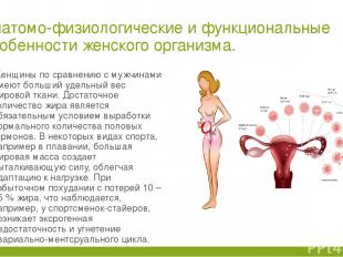 Анатомо-физиологические и функциональные особенности женского организма. Женщины