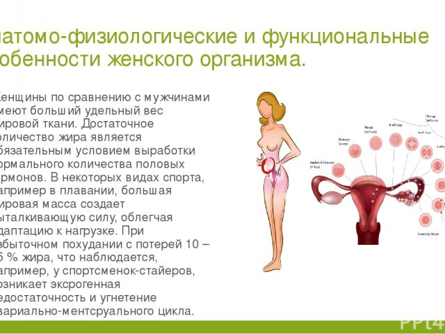 Анатомо-физиологические и функциональные особенности женского организма. Женщины по сравнению с мужчинами имеют больший удельный вес жировой ткани. Достаточное количество жира является обязательным условием выработки нормального количества половых г…