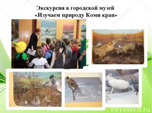 Экскурсия в городской музей «Изучаем природу Коми края»