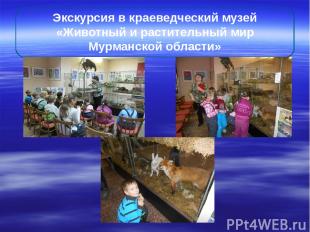 Экскурсия в краеведческий музей «Животный и растительный мир Мурманской области»