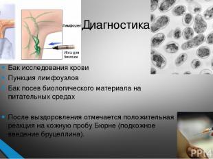 Диагностика Бак исследования крови Пункция лимфоузлов Бак посев биологического м