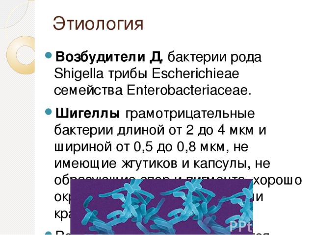 Этиология Возбудители Д. бактерии рода Shigella трибы Escherichieae семейства Enterobacteriaceae. Шигеллы грамотрицательные бактерии длиной от 2 до 4 мкм и шириной от 0,5 до 0,8 мкм, не имеющие жгутиков и капсулы, не образующие спор и пигмента, хоро…