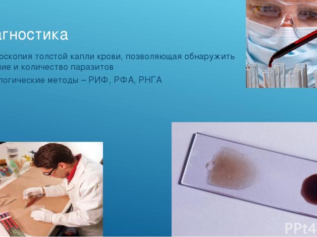 Диагностика Микроскопия толстой капли крови, позволяющая обнаружить наличие и количество паразитов Серологические методы – РИФ, РФА, РНГА