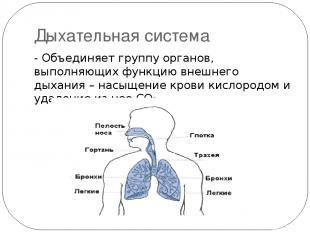 Дыхательная система - Объединяет группу органов, выполняющих функцию внешнего ды