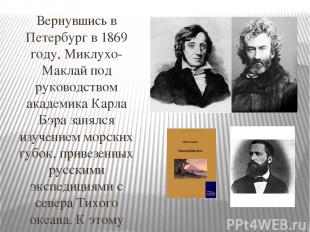 Вернувшись в Петербург в 1869 году, Миклухо-Маклай под руководством академика Ка