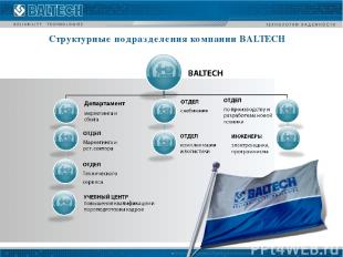Структурные подразделения компании BALTECH