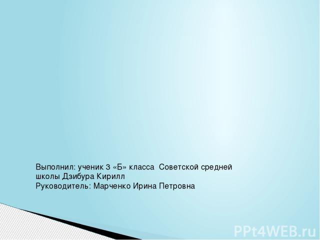 Выполнил: ученик 3 «Б» класса Советской средней школы Дзибура Кирилл Руководитель: Марченко Ирина Петровна