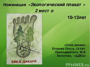 Номинация «Экологический плакат» 2 место «След дикаря» Егорова Ольга, 13 лет, Пр