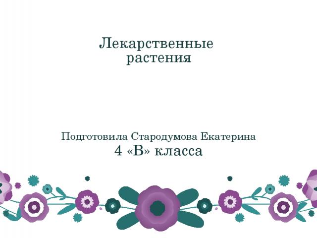 Лекарственные растения Подготовила Стародумова Екатерина 4 «В» класса
