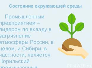 Промышленным предприятием – лидером по вкладу в загрязнение атмосферы России, в