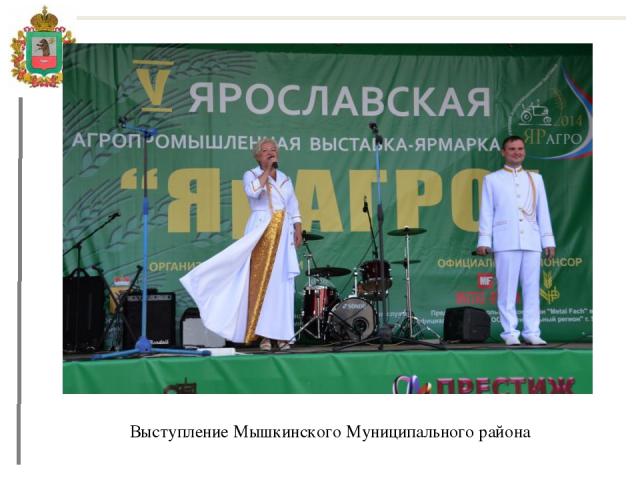 Выступление Мышкинского Муниципального района