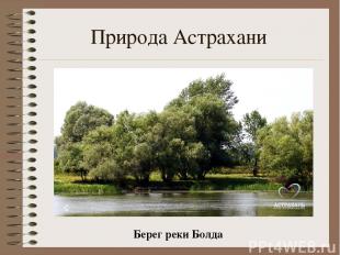 Природа Астрахани Берег реки Болда