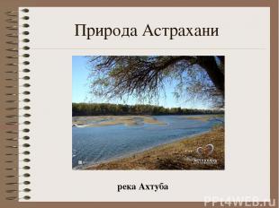 Природа Астрахани река Ахтуба