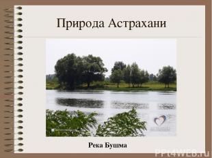 Природа Астрахани Река Бушма