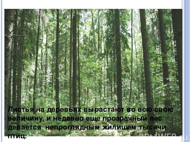Фото закладки в лесу с координатами