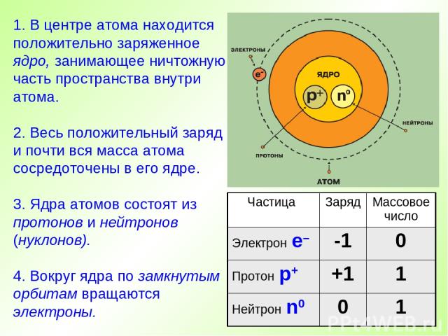 1. В центре атома находится положительно заряженное ядро, занимающее ничтожную часть пространства внутри атома. 2. Весь положительный заряд и почти вся масса атома сосредоточены в его ядре. 3. Ядра атомов состоят из протонов и нейтронов (нуклонов). …