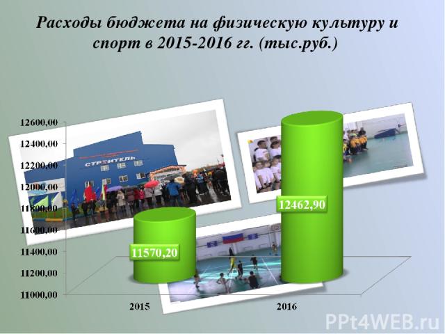Расходы бюджета на физическую культуру и спорт в 2015-2016 гг. (тыс.руб.)