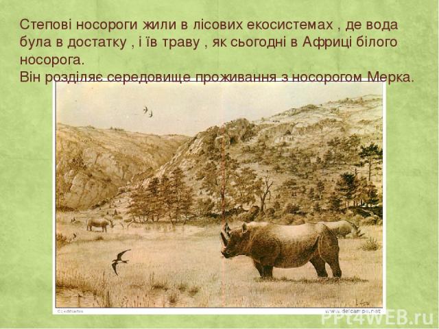 Степові носороги жили в лісових екосистемах , де вода була в достатку , і їв траву , як сьогодні в Африці білого носорога. Він розділяє середовище проживання з носорогом Мерка.