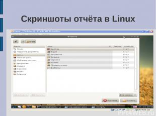Скриншоты отчёта в Linux