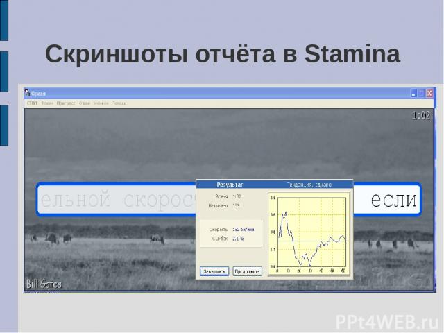 Скриншоты отчёта в Stamina
