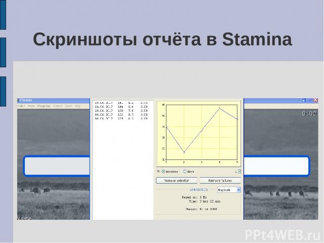 Скриншоты отчёта в Stamina