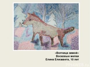 «Волчица зимой» Восковые мелки Елина Елизавета, 10 лет